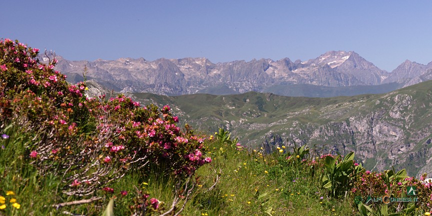3 - Panorama sulle vette della Valle Gesso dalla displuviale Ellero-Pesio (2007)