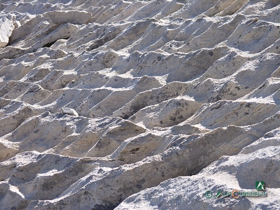 3 - Fenomeni erosivi su rocce calcaree (2008)