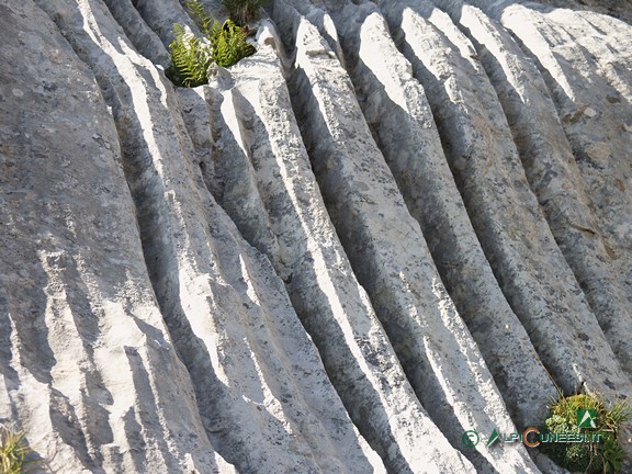 4 - I 'campi carreggiati', fenomeni erosivi su rocce calcaree (2008)