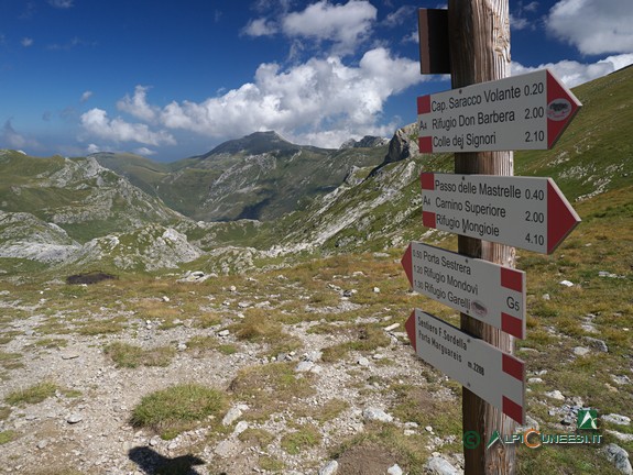 7 - Am Pass Colle del Pas (2013)