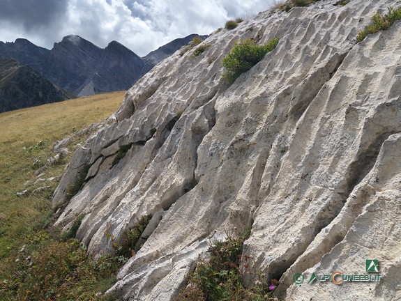 11 - La caratteristica roccia erosa lungo l'ascesa alla Cima Centrale di Serpentera (2019)