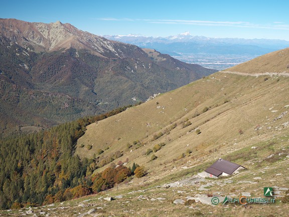 9 - Il recente Gias Mascarone soprano (2020)