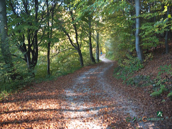 13 - Un tratto di strada sterrata che sale verso il Colle Pigna (2020)