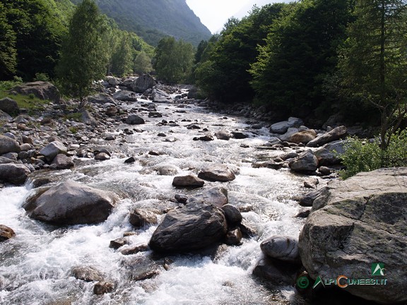 6 - Il Torrente Gesso dal Ponte della Vagliotta (2005)