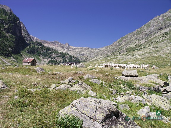 3 - Tetti Chiot; sulla sinistra, il casotto di sorveglianza del Parco (2005)