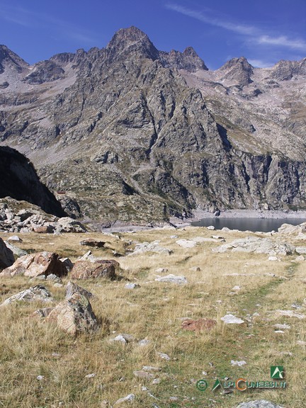 10 - Il pianoro prativo che si incontra prima della sterrata per il Rifugio Genova Figari; sullo sfondo, Cima del Baus (2005)