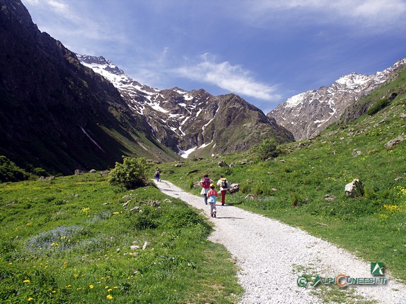 4 - Il Vallone della Barra nei pressi del Gias Isterpis (2006)