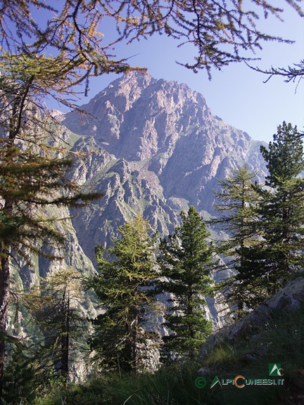 2 - La sagoma del Monte Matto spunta tra i larici (2006)