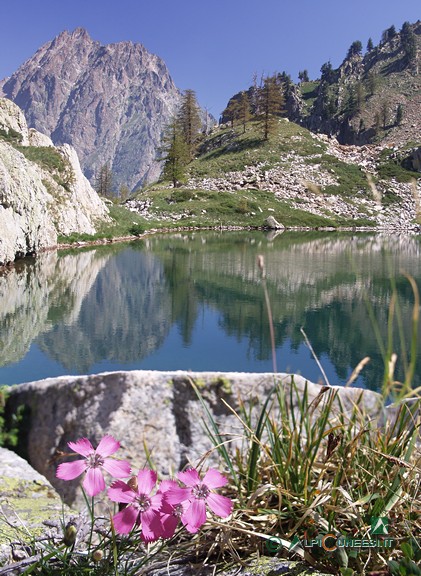 6 - Il Lago di Valcuca (2006)