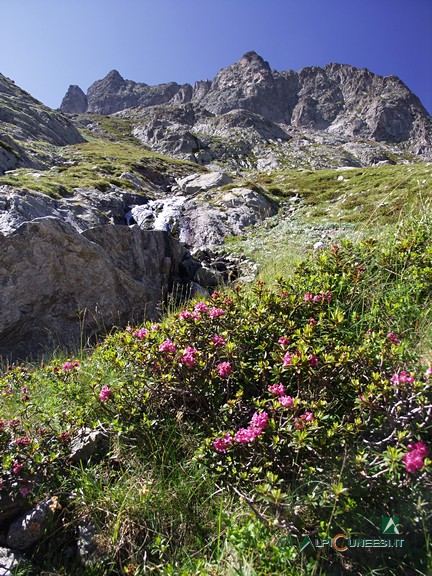 1 - Il ruscello toccato dal sentiero, tra rocce montonate e rododendri (2007)