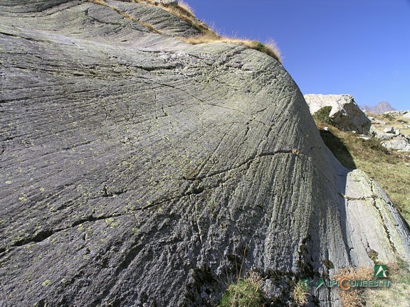 5 - Le rocce montonate, uno dei segni più evidenti della presenza dei ghiacciai (2007)