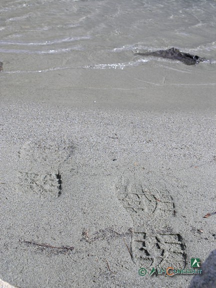 4 - Sulle sponde del lago anche una piccola spiaggetta... (2008)