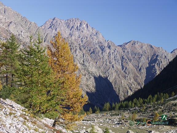 1 - Panorama sul Pian della Casa del Re dal sentiero; sullo sfondo, il Monte Matto (2008)