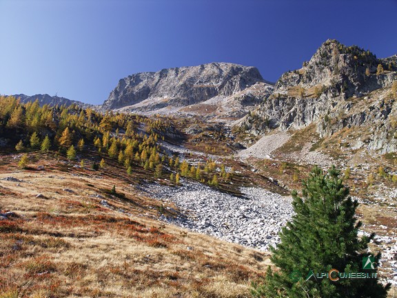 3 - Il ripiano pascolivo del Gias sottano della Losa (2008)