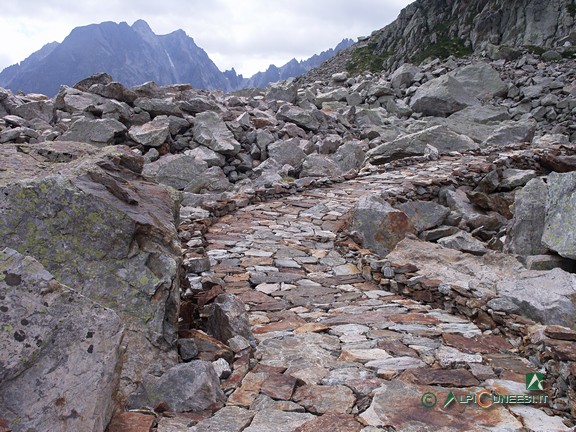 15 - Il tratto lastricato della strada di arroccamento 'Baraccamenti di Valscura - Ricoveri di Fremamorta' (2010)