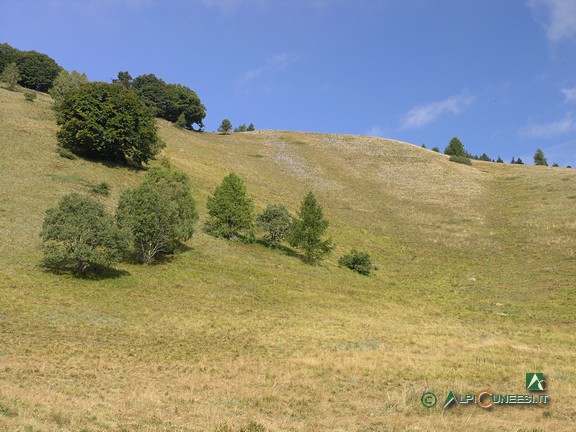 3 - I pendii pascolivi nei pressi del Colle dell'Arpione (2010)