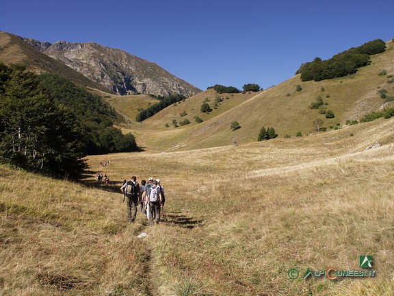 6 - La valletta pascoliva che precede il Colle dell'Arpione, seminascosto dalla vegetazione al centro della foto (2010)