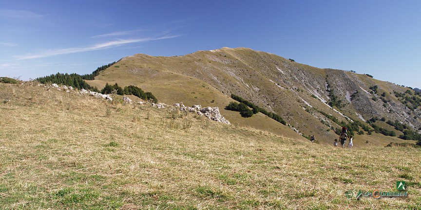 7 - Il crinale prativo nei pressi del Colle dell'Arpione; sullo sfonda, la Cima Cialancia (2010)