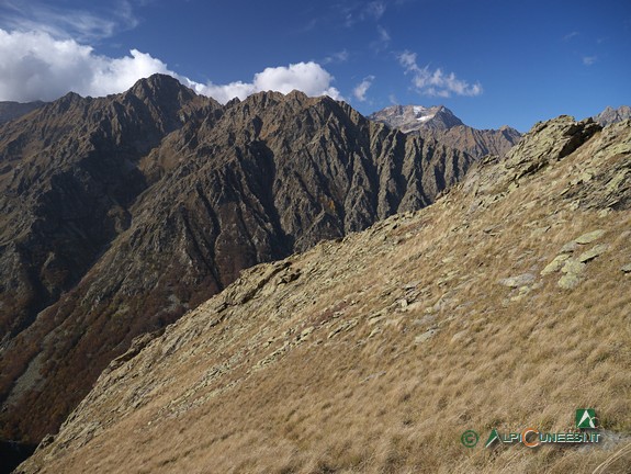 3 - I ripidi pendii della Costa dell'Aiera, con il Massiccio dell'Argentera che fa capolino sullo sofndo (2013)