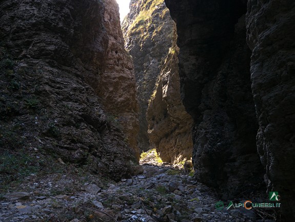 12 - All'interno delle Gorge della Reina (2013)