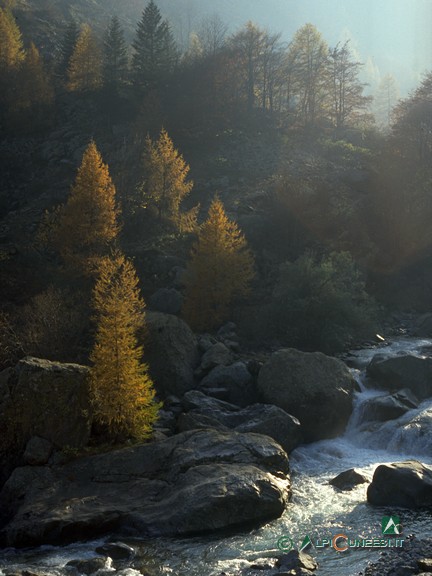 3 - Il Torrente Gesso poco sotto Terme di Valdieri (1994)