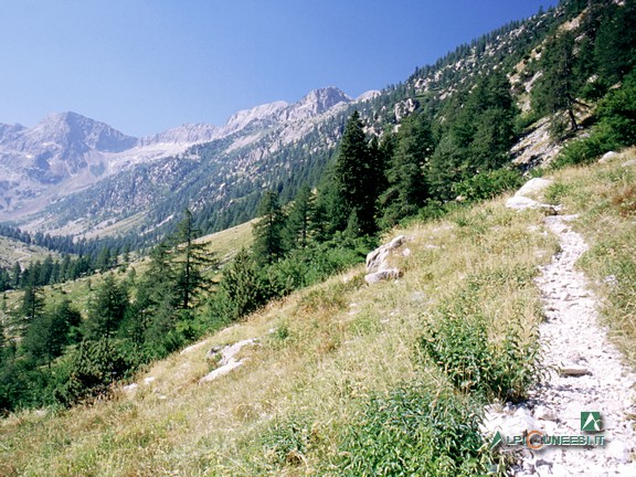 2 - Il sentiero che sale al Bivacco Guiglia (2003)