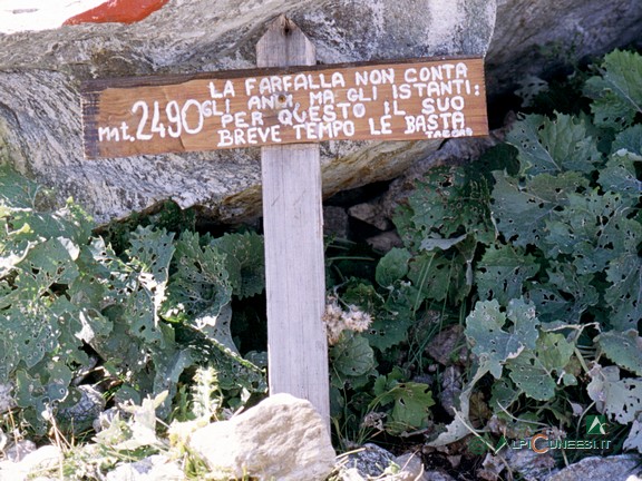 6 - Una perla di saggezza offerta dal gestore del Rifugio Federici Marchesini (2003)