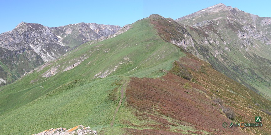 6 - Il crinale del Passo Crosetta. A destra l'alta Comba di Narbona e sullo sfondo il Monte Tibert (2006)
