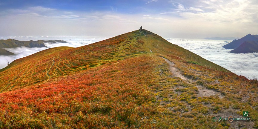 15 - La prativa dorsale che porta al Monte Crosetta (2013)