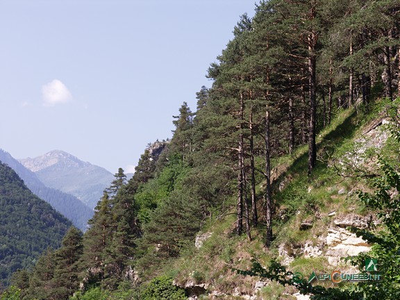 3 - Uno sguardo verso valle, dai pressi del primo pilone votivo che si incontra lungo il percorso (2005)