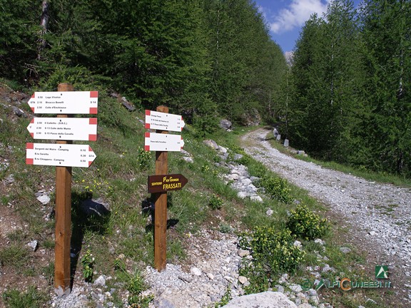 9 - Il bivio con la rotabile ex militare: sulle paline è ben visibile la nuova segnaletica escursionistica regionale bianca e rossa (2005)