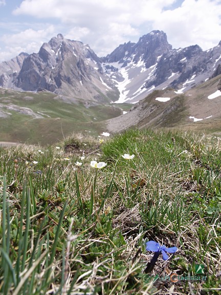 9 - Panorama dai pressi del Colle delle Munie (2005)