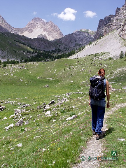 8 - Il sentiero nei pressi di Grangia Gorra (2005)