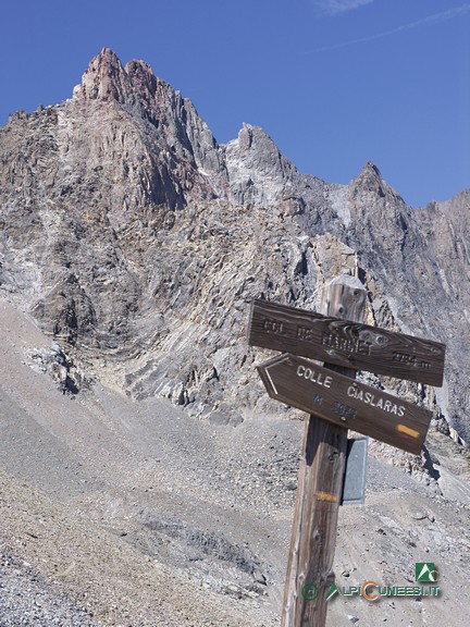 5 - L'Aiguille de Chambeyron dal Col de Marinet (2005)