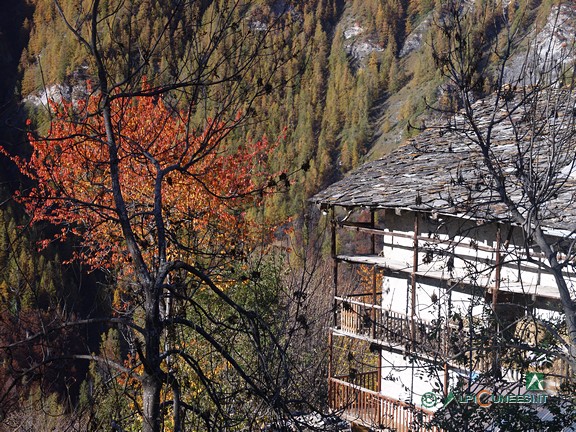 2 - Ampie balconate in legno spesso caratterizzano le abitazioni (2005)