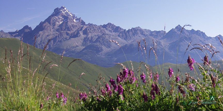 4 - Il Monviso dai contrafforti del Monte Camoscere (2007)