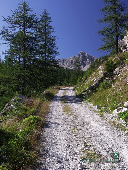 4 - La strada sterrata che sale a Grange Chiacarloso (2007)