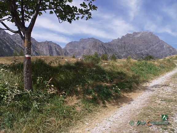 3 - La strada sterrata che sale da Saretto (2007)