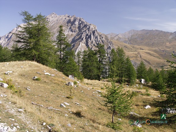 8 - La bella radura che si incontra prima del bivio S12; sullo sfondo, il Monte Boulliagna (2007)