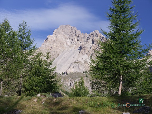 9 - Salendo nel lariceto verso Grangia Gorra (2008)