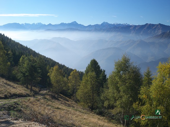 2 - La pista forestale che sale al Colle della Ciabra (2013)