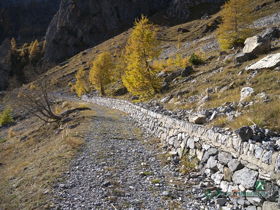 4 - La rotabile ex militare per il Colle del Sautron (2014)