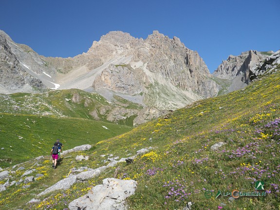 10 - Il tratto prativo del sentiero che precede il Bivacco Valmaggia (2015)