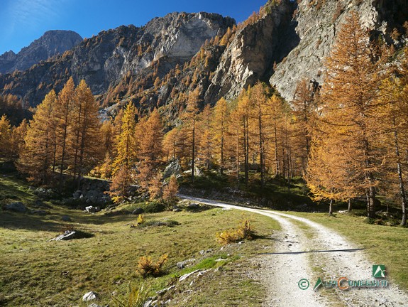 8 - Un tratto della strada per le Grange Chiacarloso (2018)