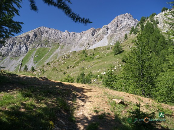 11 - L'arrivo al Colle Ciarbonet con il nuovo sentiero (2019)