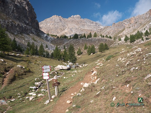 9 - La conca prativa che si incontra nel tratto iniziale della salita, al bivio per il Ricovero Escalon (2021)