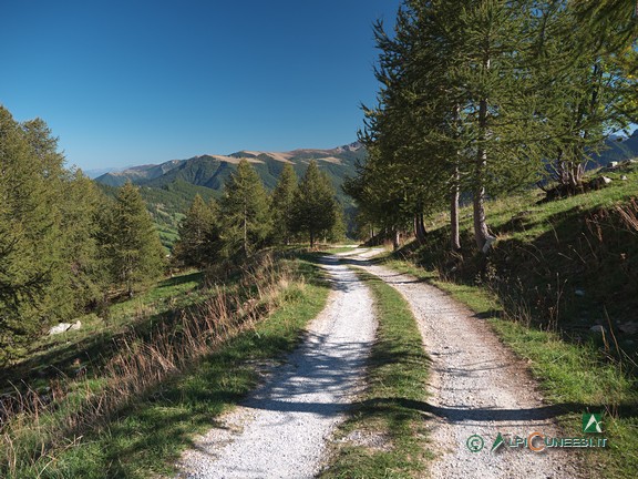 6 - Un tratto della bella strada sterrata che sale alle Grange Chiotti (2022)