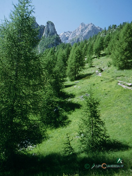 4 - La prima parte del sentiero per il Bivacco Bonelli (1997)