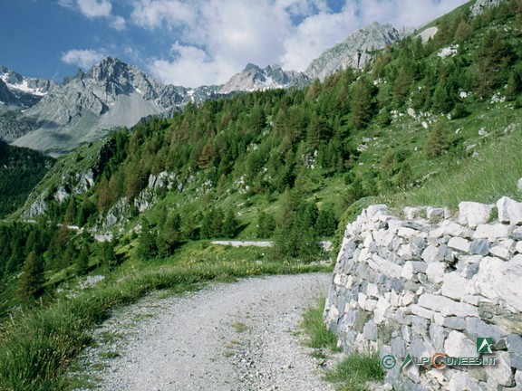 1 - Un tratto della rotabile ex militare 195 'Pratorotondo - Colle Ciarbonet', con il muretto di sostegno ancora in ottimo stato (1997)