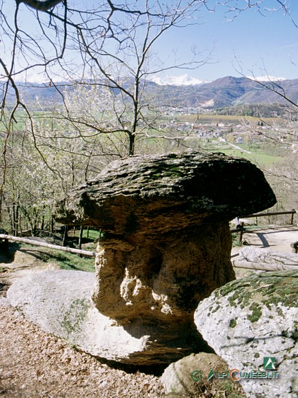 1 - Un 'ciciu' a sua volta appoggiato su un blocco di gneiss (2004)